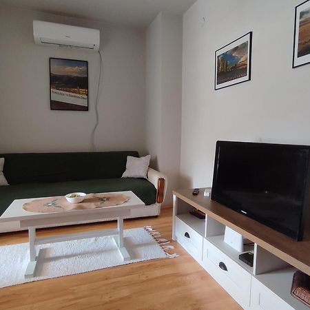 Vila Zora Apartman Banja Koviljača Εξωτερικό φωτογραφία