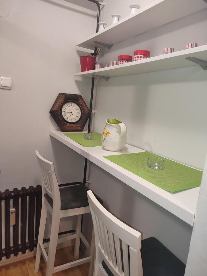 Vila Zora Apartman Banja Koviljača Εξωτερικό φωτογραφία